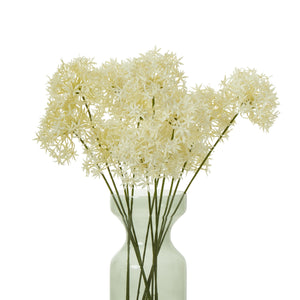 Three Head Cream Allium Spray [cid:23810-b]