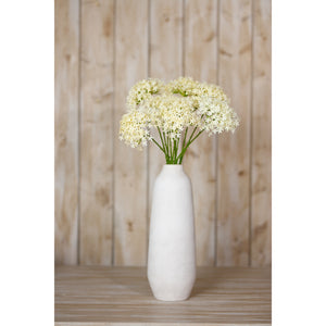 Three Head Cream Allium Spray [cid:23810-c]