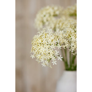 Three Head Cream Allium Spray [cid:23810-d]
