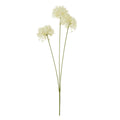 Three Head Cream Allium Spray [cid:23810]