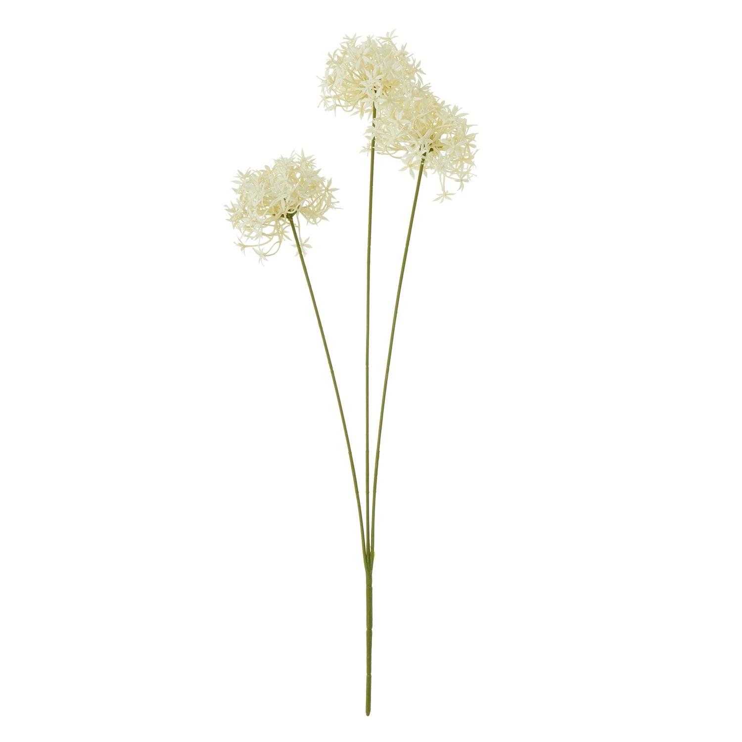 Three Head Cream Allium Spray [cid:23810]