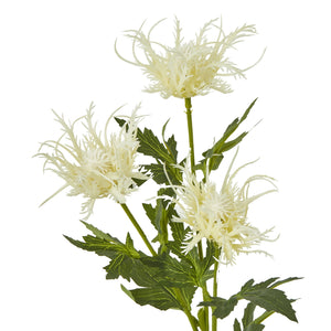 Cream Sea Holly Spray [cid:23818-a]
