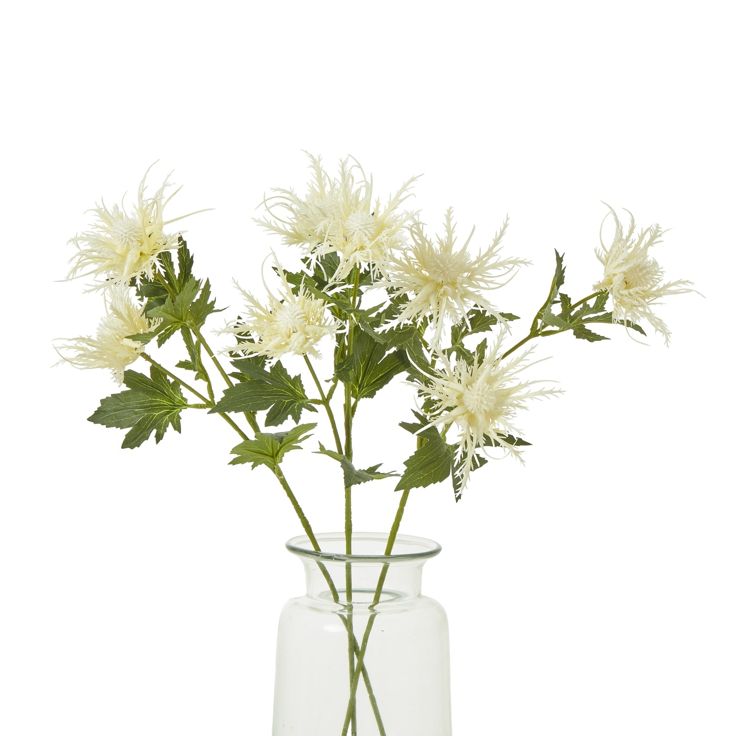 Cream Sea Holly Spray [cid:23818-b]
