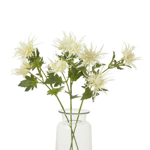 Cream Sea Holly Spray [cid:23818-b]
