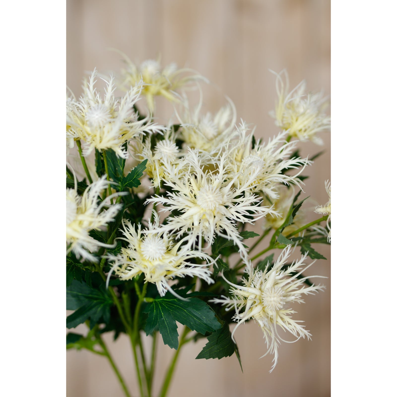 Cream Sea Holly Spray [cid:23818-d]