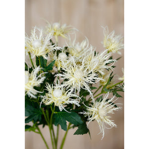 Cream Sea Holly Spray [cid:23818-d]