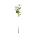 Cream Sea Holly Spray [cid:23818]