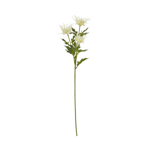 Cream Sea Holly Spray [cid:23818]