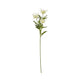 Cream Sea Holly Spray [cid:23818]