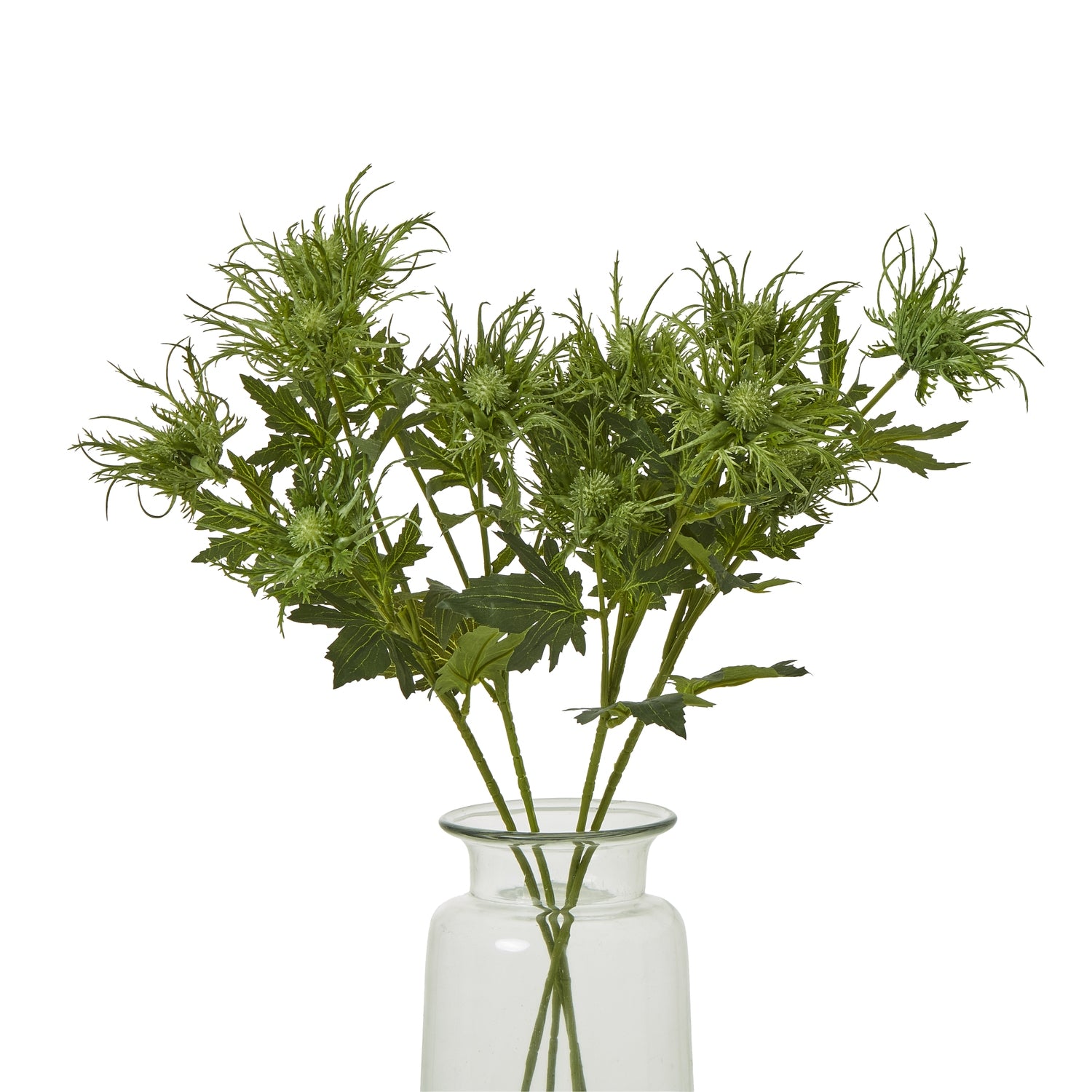Green Sea Holly Spray [cid:23819-b]
