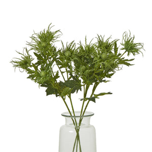Green Sea Holly Spray [cid:23819-b]