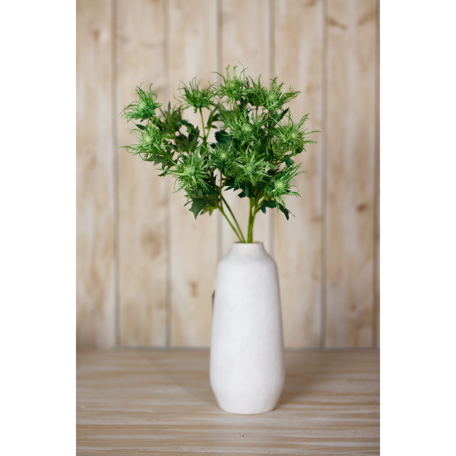 Green Sea Holly Spray [cid:23819-c]