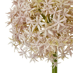 Lilac Medium Allium Stem [cid:23858-a]