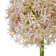 Lilac Medium Allium Stem [cid:23858-a]