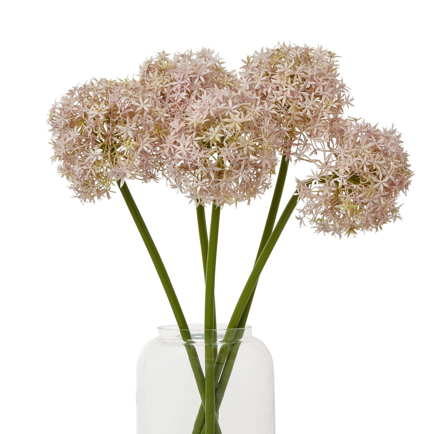 Lilac Medium Allium Stem [cid:23858-b]