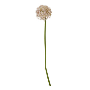 Lilac Medium Allium Stem [cid:23858]