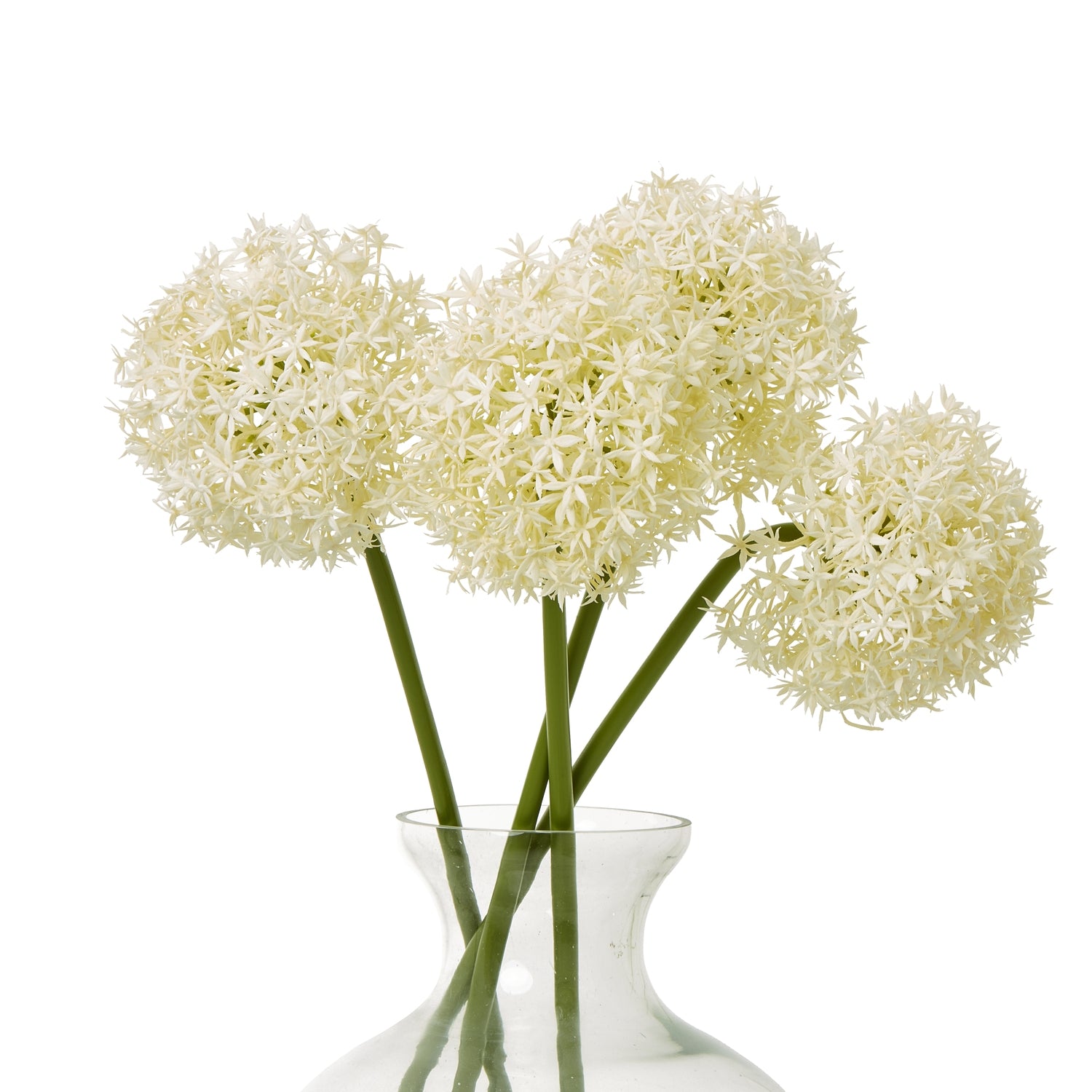Cream Medium Allium Stem [cid:23861-b]