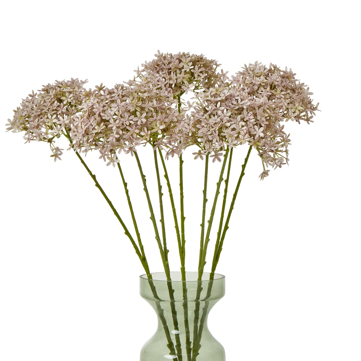 Pink Crown Hydrangea Stem_5214