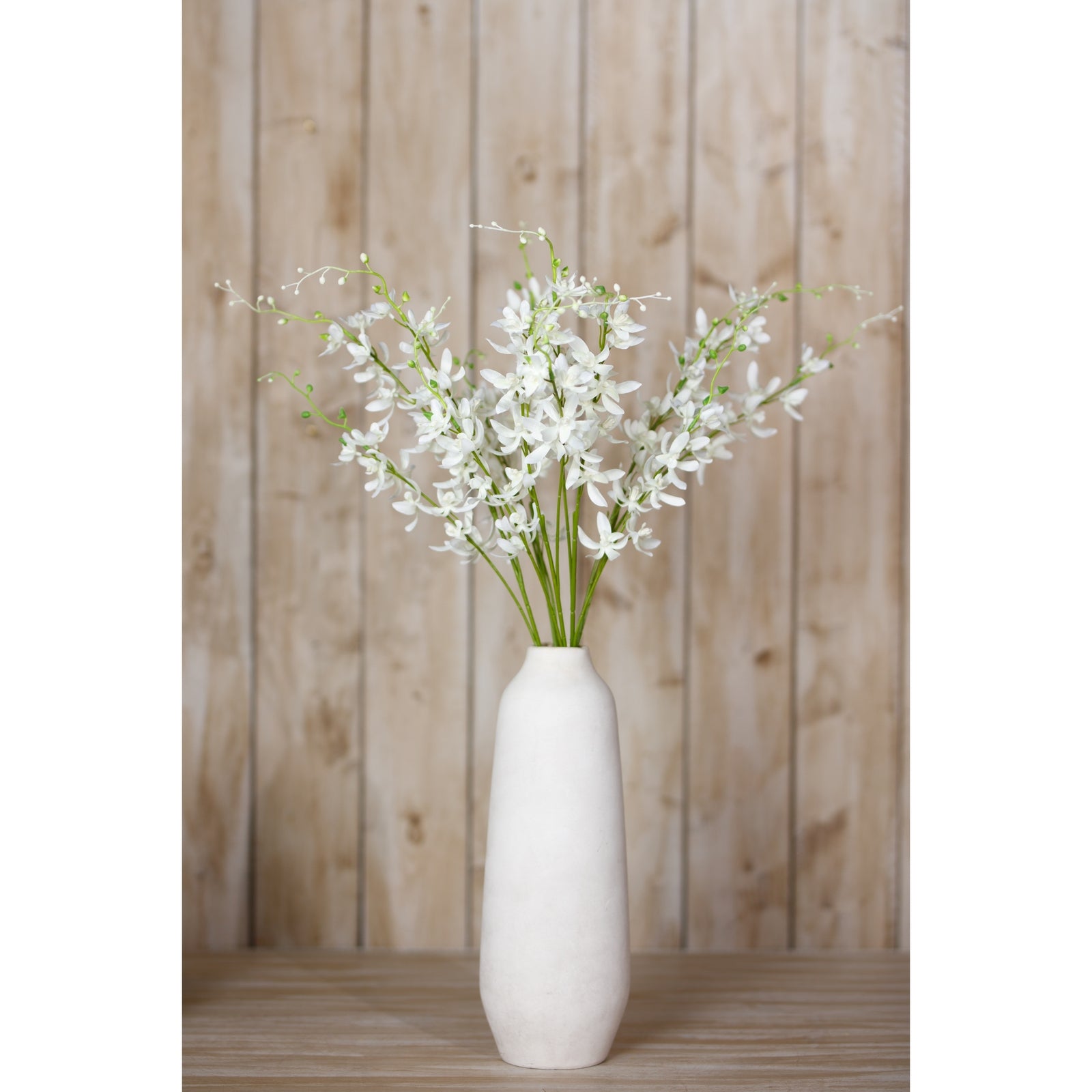 White Cymbidium Spray [cid:23870-c]