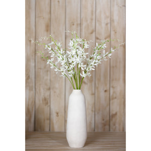 White Cymbidium Spray [cid:23870-c]