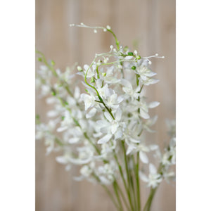 White Cymbidium Spray [cid:23870-d]