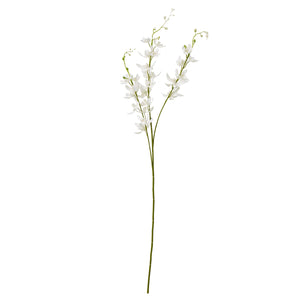 White Cymbidium Spray [cid:23870]