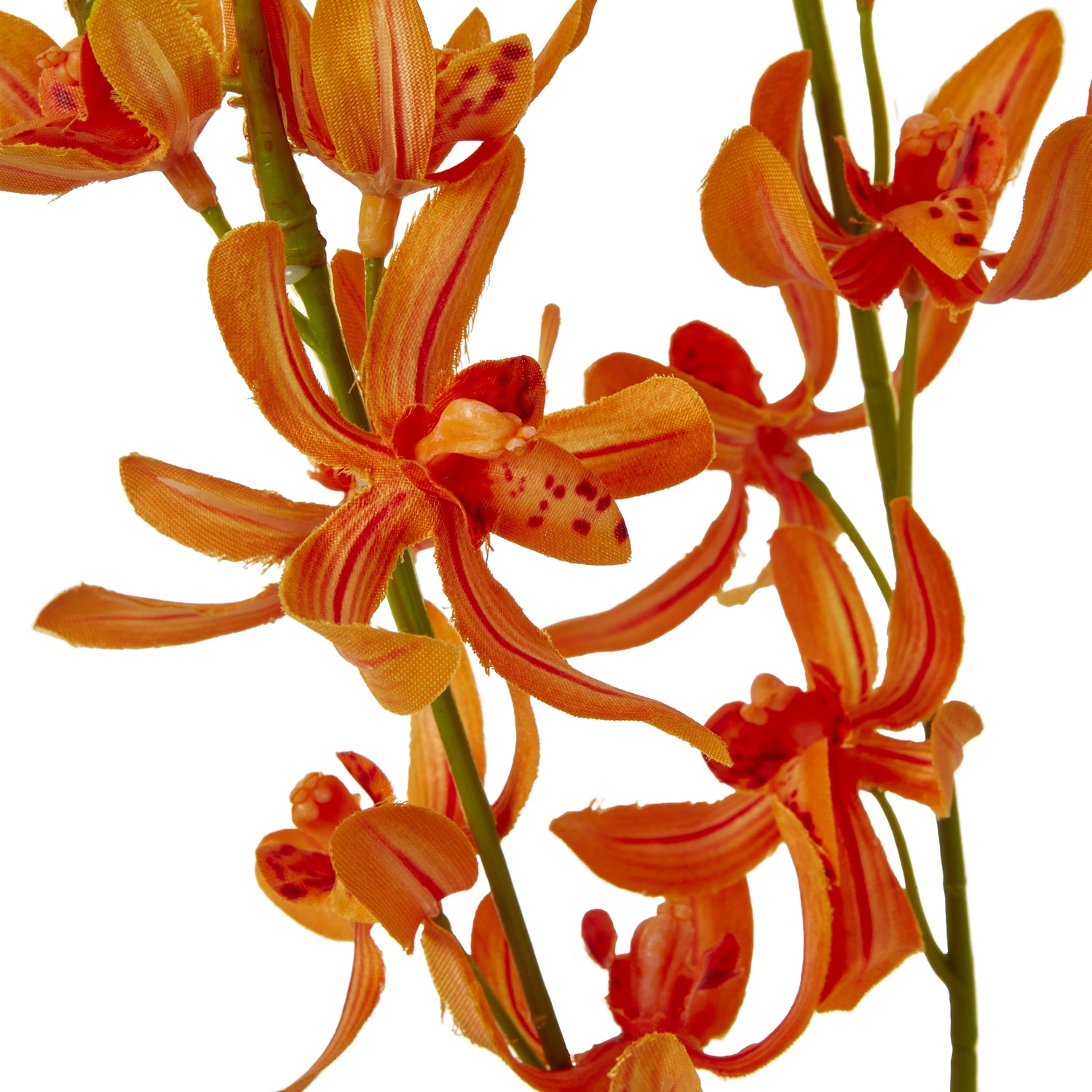 Orange Cymbidium Spray [cid:23871-a]