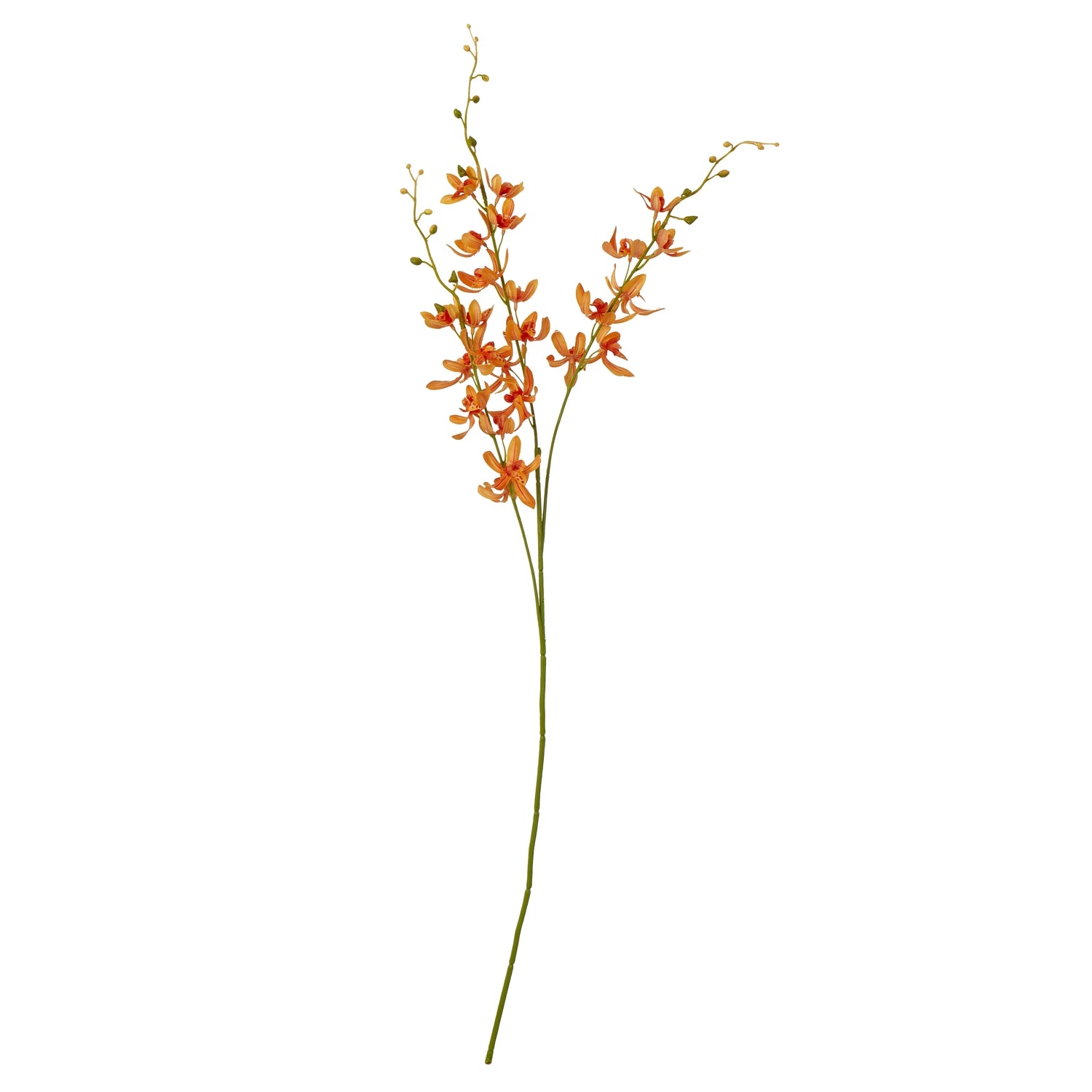 Orange Cymbidium Spray [cid:23871]
