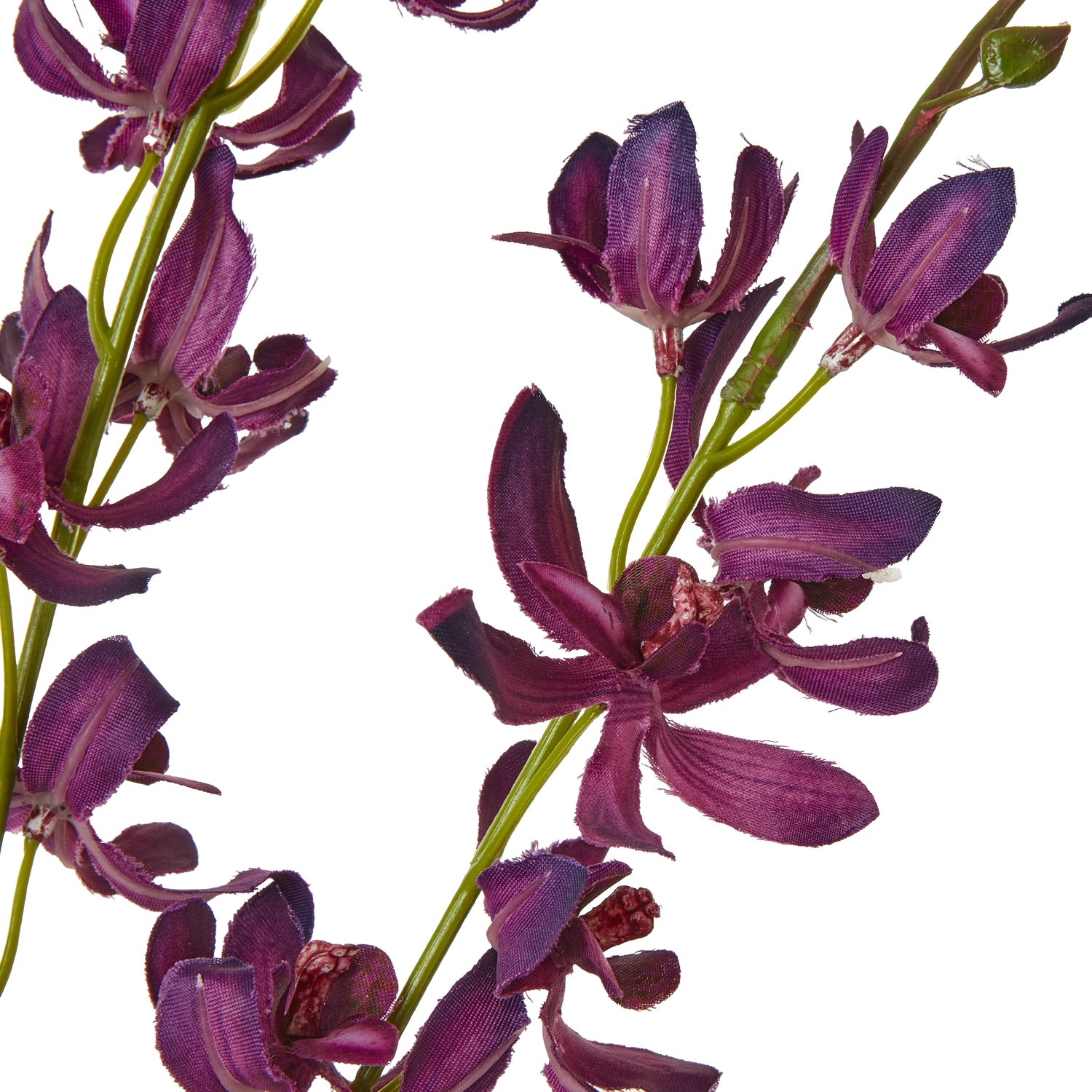 Purple Cymbidium Spray [cid:23872-a]
