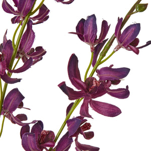 Purple Cymbidium Spray [cid:23872-a]