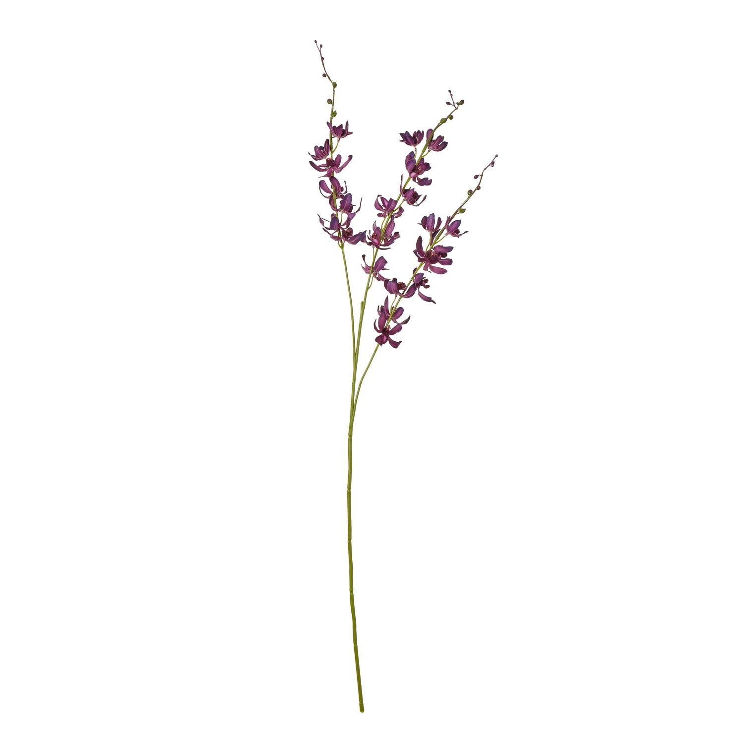 Purple Cymbidium Spray [cid:23872]