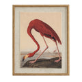 Flora & Fauna Collection Flamingo On Linen In Beaded Frame_3782