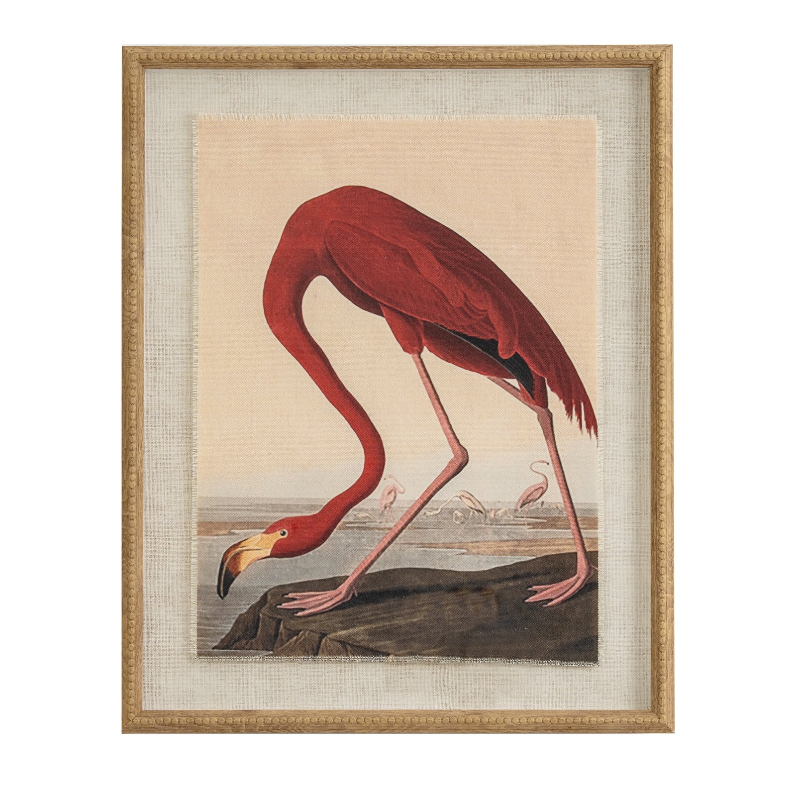 Flora & Fauna Collection Flamingo On Linen In Beaded Frame_3782