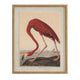 Flora & Fauna Collection Flamingo On Linen In Beaded Frame_3782