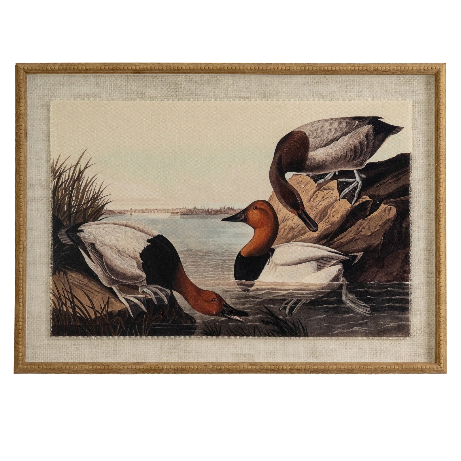 Flora & Fauna Collection Pochards On Linen In Beaded Frame_3798