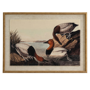 Flora & Fauna Collection Pochards On Linen In Beaded Frame_3798