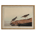 Flora & Fauna Collection Stints On Linen In Beaded Frame_3815