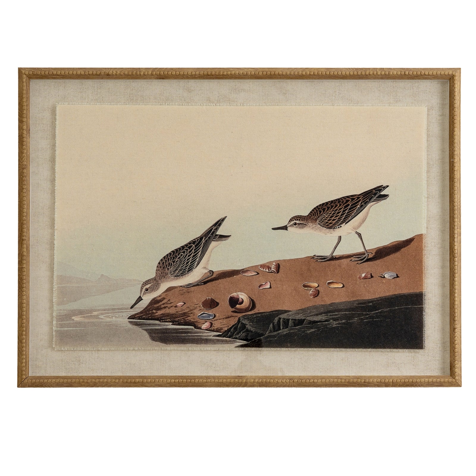Flora & Fauna Collection Stints On Linen In Beaded Frame_3815