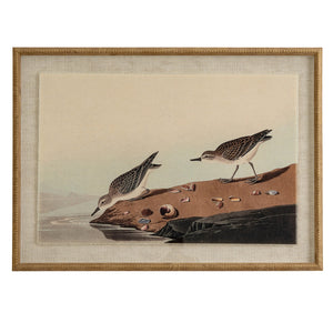 Flora & Fauna Collection Stints On Linen In Beaded Frame_3815