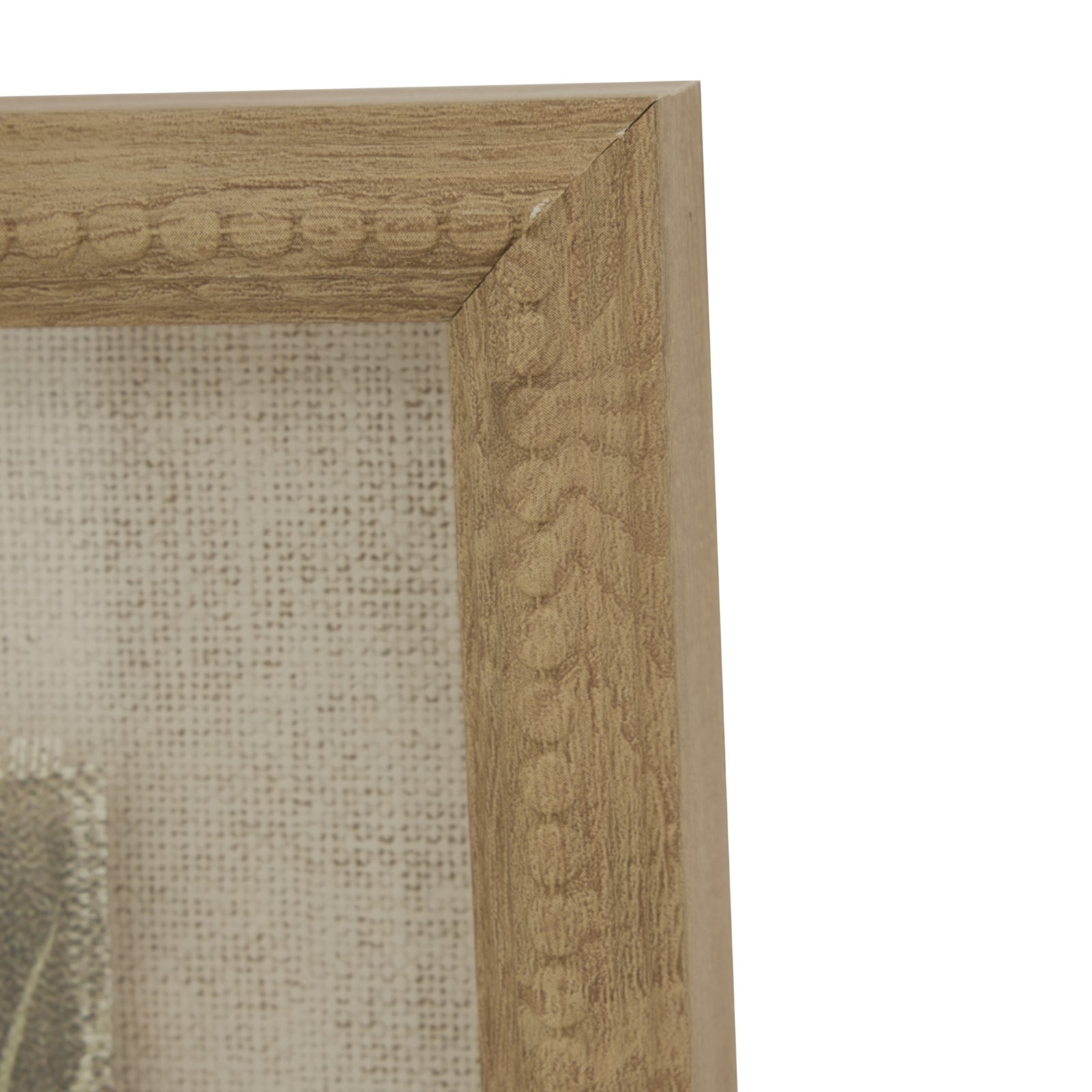 Flora & Fauna Collection Avocet On Linen In Beaded Frame_3766