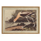 Flora & Fauna Collection Avocet On Linen In Beaded Frame_3764