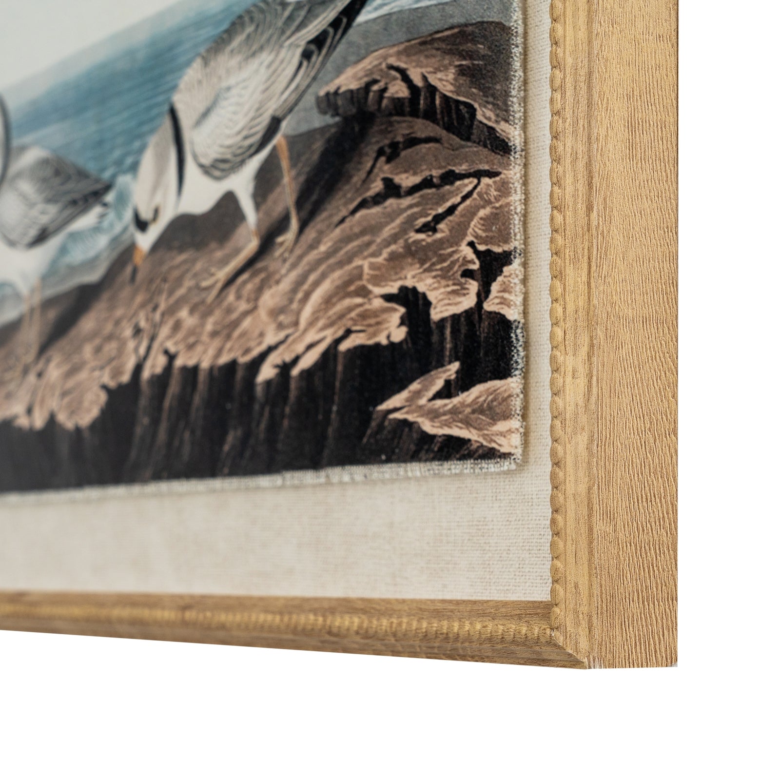 Flora & Fauna Collection Plovers On Linen In Beaded Frame_3797