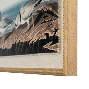 Flora & Fauna Collection Plovers On Linen In Beaded Frame_3797