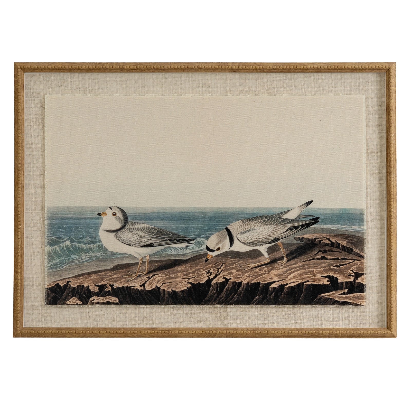 Flora & Fauna Collection Plovers On Linen In Beaded Frame_3796
