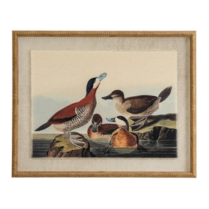 Flora & Fauna Collection Ducks On Linen In Beaded Frame_3780