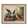Flora & Fauna Collection Mallards On Linen In Beaded Frame_3791