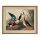 Flora & Fauna Collection Mallards On Linen In Beaded Frame_3791