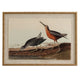 Flora & Fauna Collection Snipes On Linen In Beaded Frame_3810
