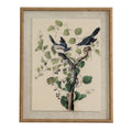 Flora & Fauna Collection Shrikes On Linen In Beaded Frame_3807