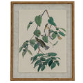 Flora & Fauna Collection Warblers On Linen In Beaded Frame_3819